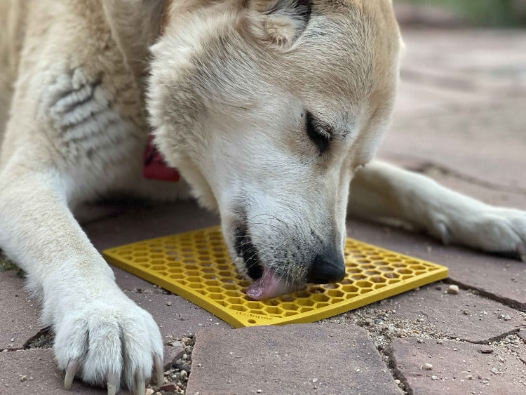 SodaPup Enrichment Lick Mat Honeycomb