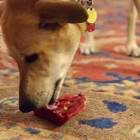 Thumbnail for Sodapup Cherry Pie - Ultra Durable Nylon Chew Toy & Food Holder