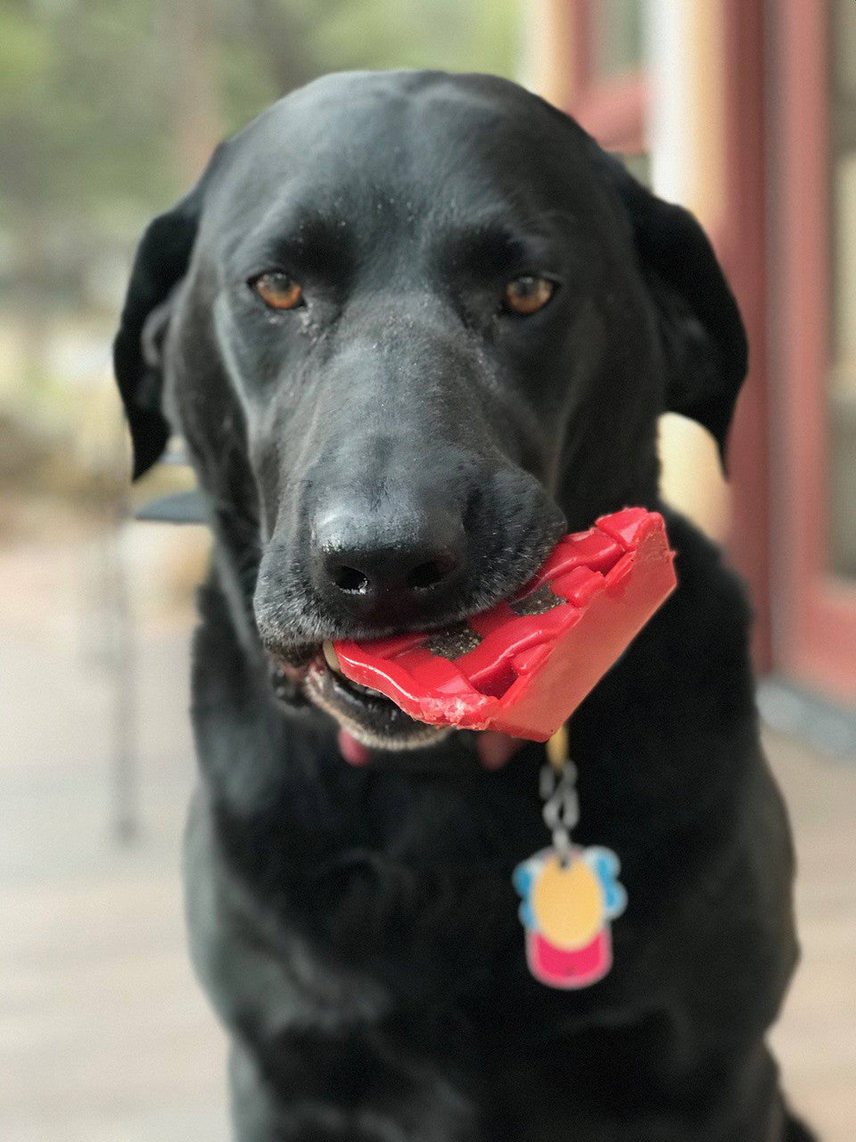 Sodapup Cherry Pie - Ultra Durable Nylon Chew Toy & Food Holder