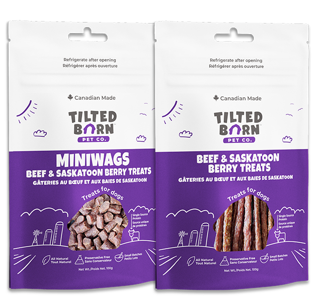 Tilted Barn Beef & Saskatoon Berry Miniwags