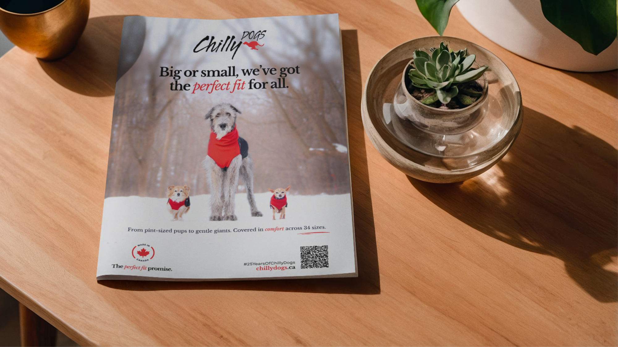 Canadian-Made Comfort for Every Pup 🐾