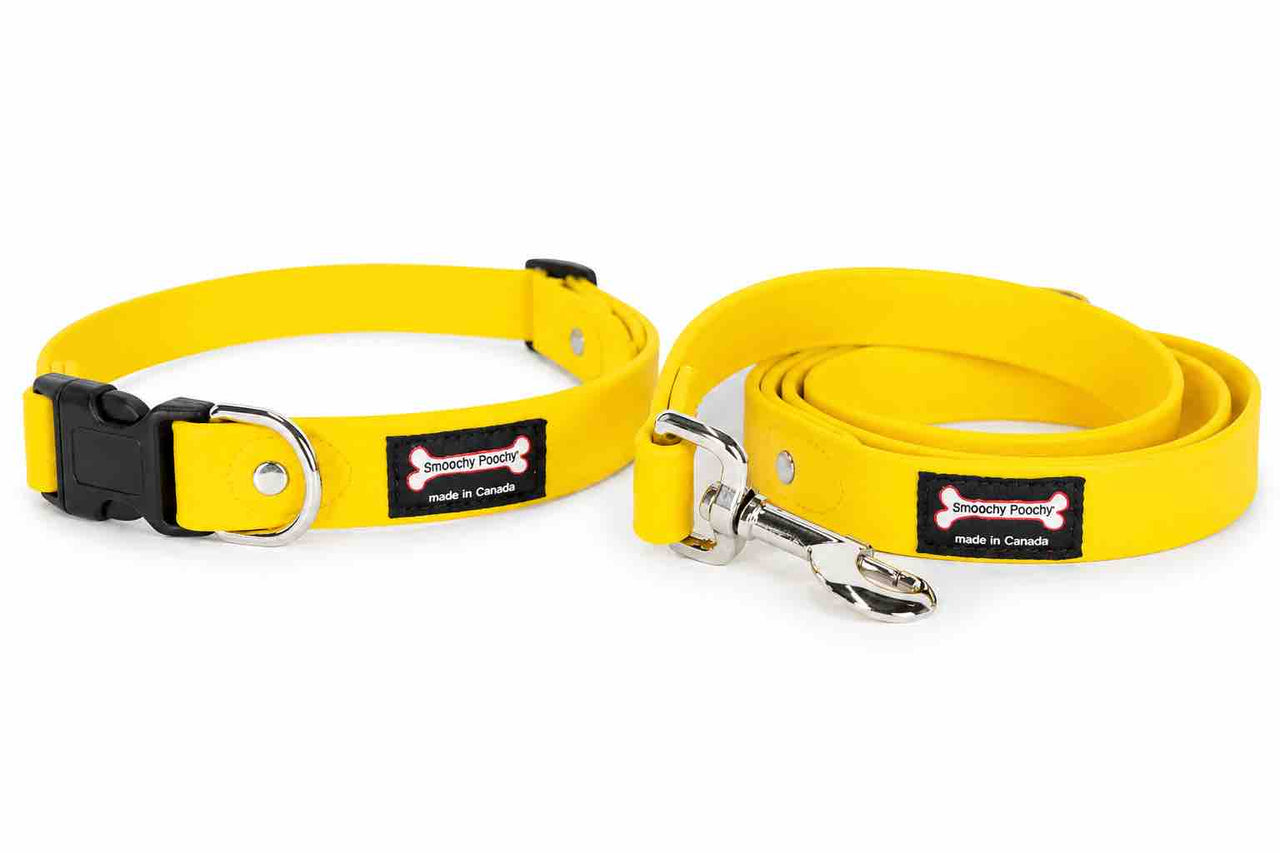 BUNDLE & SAVE! Smoochy Poochy Collar & Leash - 5/8" width, SMALL